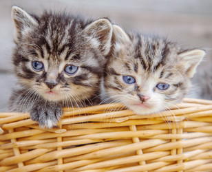 Similar image 8561943