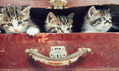 Similar image 8561965