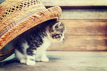 Similar image 8561969