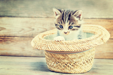 Similar image 8561971