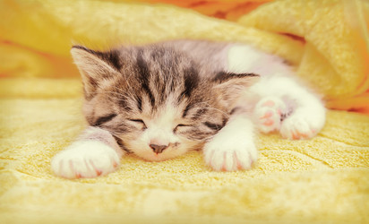 Similar image 8561974