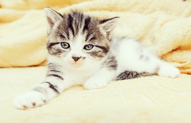 Similar image 8561975