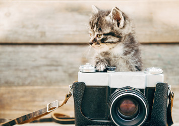 Similar image 8561997