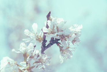 Similar image 8562051