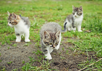 Similar image 8562070