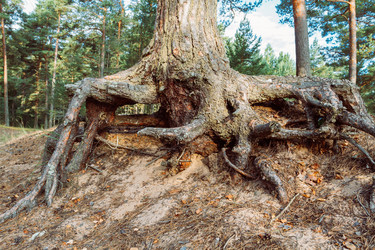 Similar image 8562088