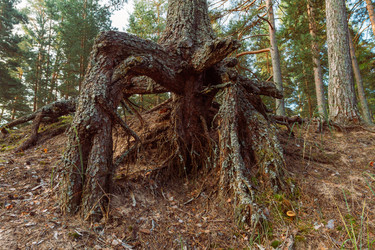 Similar image 8562089