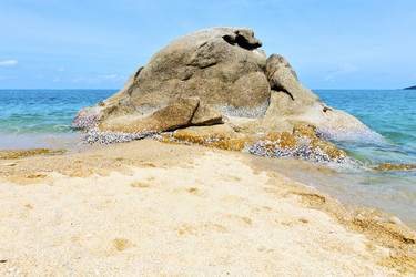 Similar image 8562976