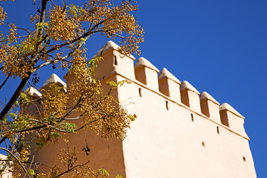 Similar image 8562989