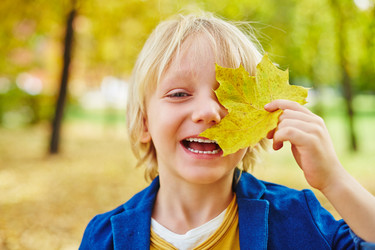 Similar image 8563035