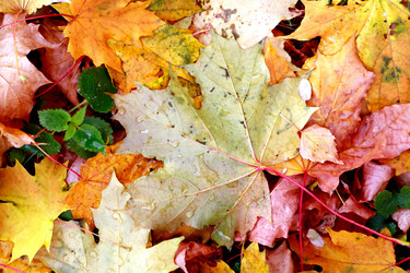 Similar image 8564333