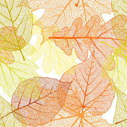 Similar image 8564432