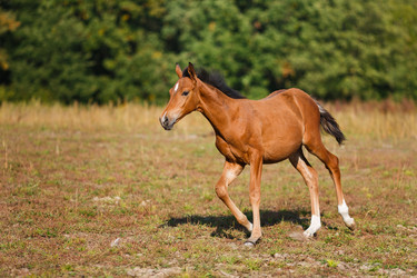 Similar image 8565353