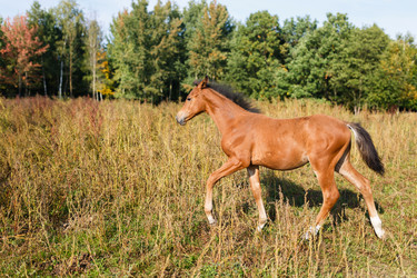 Similar image 8565357