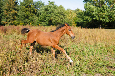 Similar image 8565360