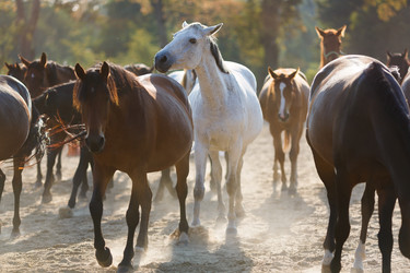 Similar image 8565369