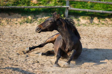 Similar image 8565373