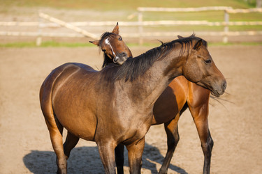 Similar image 8565375