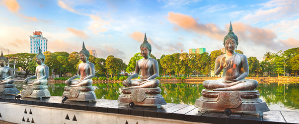 Similar image 8567705