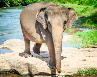 Similar image 8567721