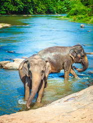 Similar image 8567723