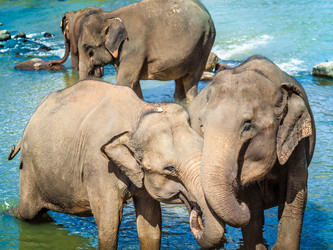 Similar image 8567725