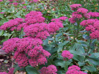 Similar image 8568182