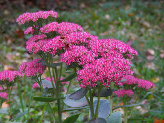 Similar image 8568183