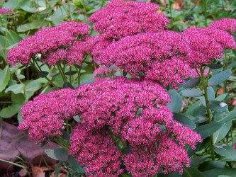 Similar image 8568184