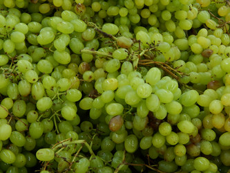 Similar image 8568575