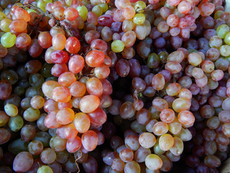 Similar image 8568582