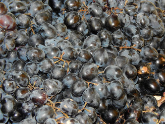 Similar image 8568583