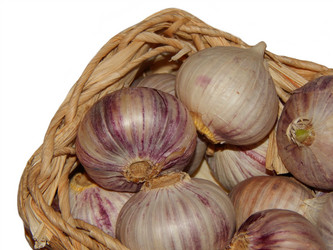 Similar image 8568660