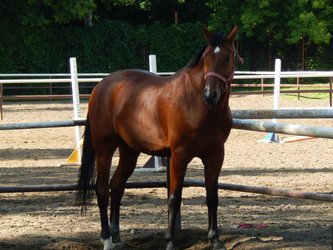 Similar image 8568663