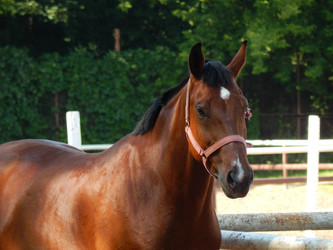 Similar image 8568665