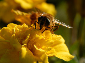 Similar image 8568670