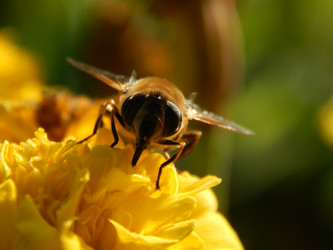 Similar image 8568672