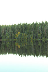 Similar image 8568746