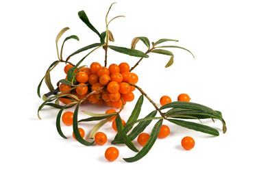 Similar image 8569787