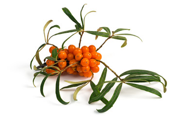 Similar image 8569788