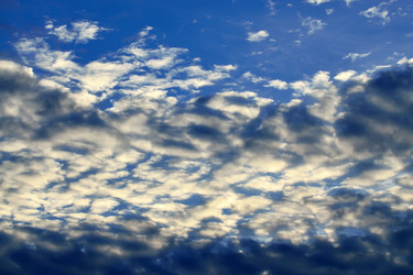 Similar image 8574784