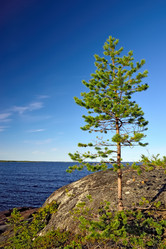 Similar image 8574810