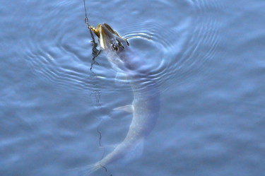 Similar image 8574869