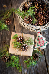 Similar image 8575031