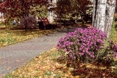 Similar image 8575804