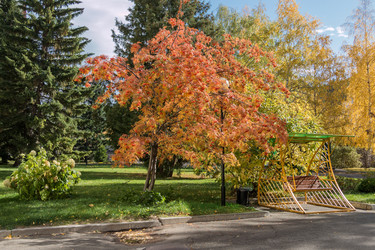 Similar image 8575805