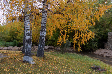 Similar image 8575807