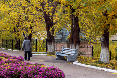 Similar image 8575811