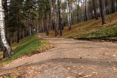 Similar image 8576057