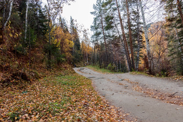 Similar image 8576060